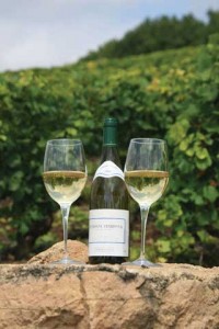 Avalon features Wine Tasting river cruises