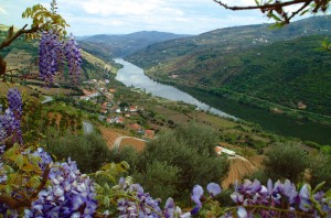 vik douro river valley