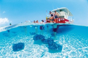 Grand Caymens is a popular snorkleing and scuba diving desitination in the Caribbean.