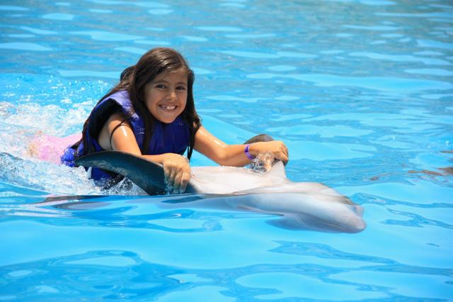 cabo-adventures-dolphin-swim