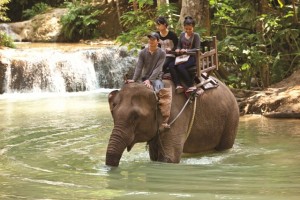 uniworld-laos-elephant-village