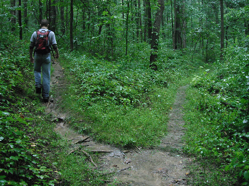 missouri-state-park-trail-of-tears-trail
