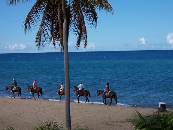 nevis-island-pinneys-beach-horseback-riding