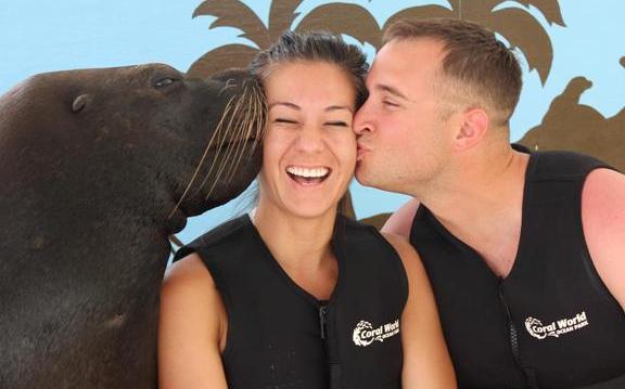coral-world-ocean-park-sea-lion
