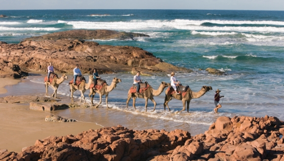 CEL_Australia_NewCastle-camels-on-beach-05082014-lo