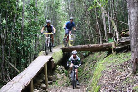mountain-bike-tasmania-off-road-mt-wellington-05192014