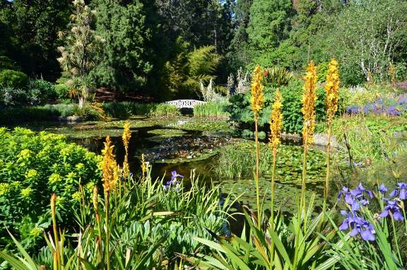 royal-tasmanian-botanical-gardens-05192014