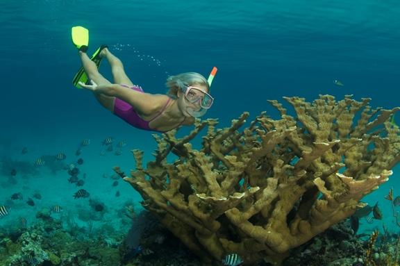 stuart-coves-dive-bahamas-snorkel-07142014