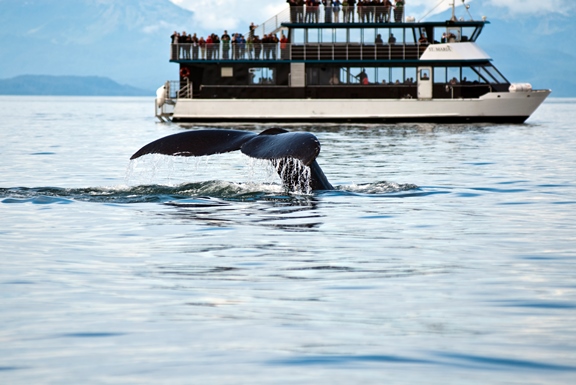 It's Not Too Late to Explore Alaska This Year via Seattle
