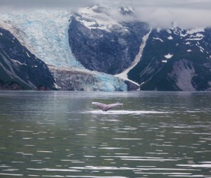Alaska-cruise-passport-information