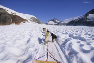 alaska-org-Juneau-Dog-Sledding-on-the-Mendenhall-Glacier by-Helicopter-17