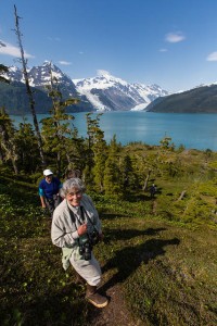 when is the best weather in Alaska to take a cruise?