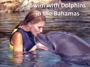 Bucket List Cruise Spots 2015. Kissing a Dolphin in Bahamas. 