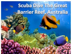 Scuba Dive or Snorkel the Great Barrier Reef in Australia. 