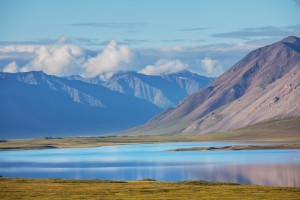 Nature Lovers Enjoy the Artic Wilderness on a Cruise to Alaska Nature Lovers Enjoy the Artic Wilderness on a Cruise to Alaska