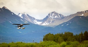 Pick the Alaska Cruise Tour that is best for you Pick the Alaska Cruise Tour that is best for you