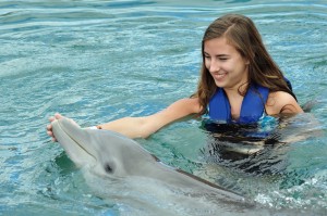 swim with dolphins 2