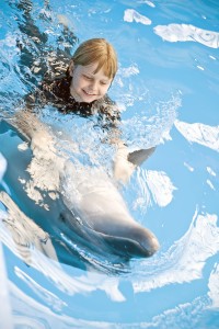 swim with dolphins 4
