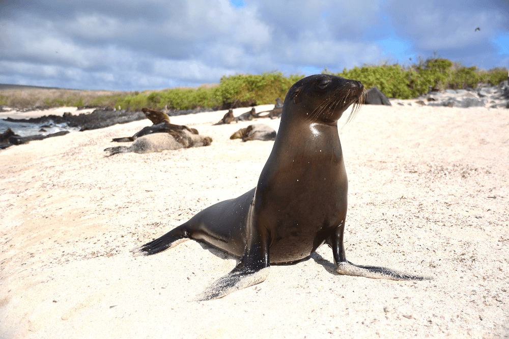 galapagos cruise deals