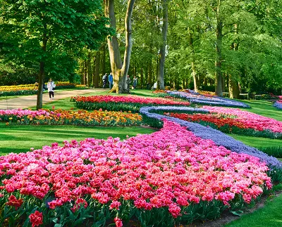 AmaWaterways River Cruise - Amsterdam to Amsterdam