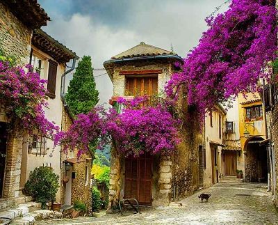 AmaWaterways River Cruise - Lyon to Arles