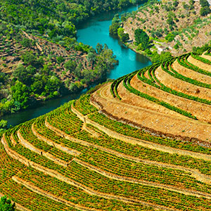 Avalon Waterways River Cruise - Porto to Porto
