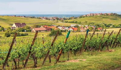 Tauck River Cruise - Amsterdam to Milan