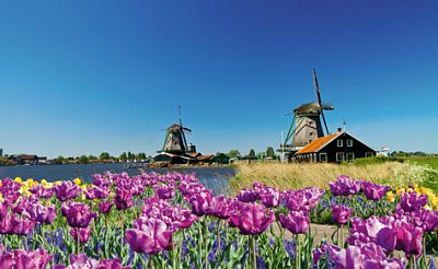 Uniworld Boutique Cruises River Cruise - Antwerp to Amsterdam