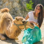 Top Activities for the Adventurer in Cabo