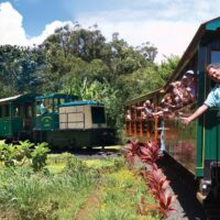 Kilohana Plantaion Estate.