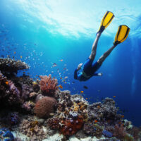 mexican-riviera-cruises