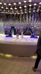  Harmony of the Seas cruise ship - Exclusive