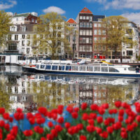 avalon river cruises