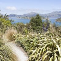 Things to do in Dunedin New Zealand