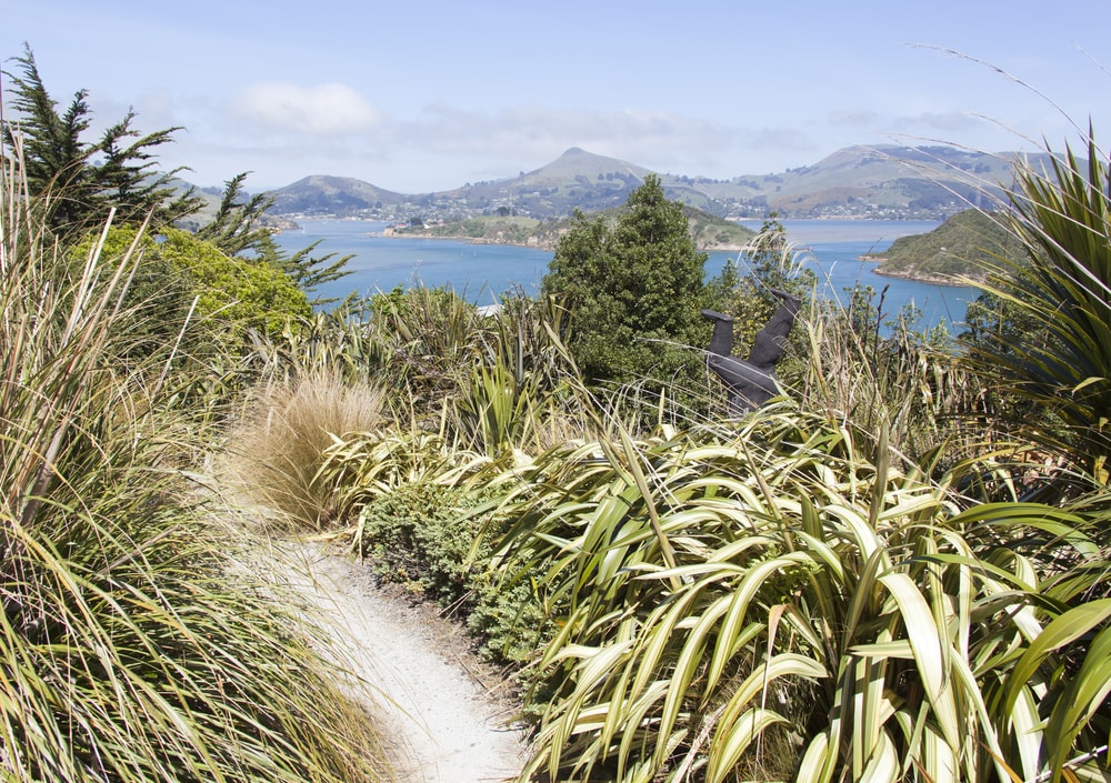 Things to do in Dunedin New Zealand