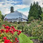 Things to do in Christchurch