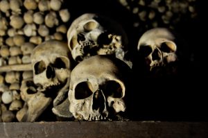  european river cruise lines