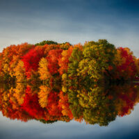 Fall Foliage 2017 Cruises