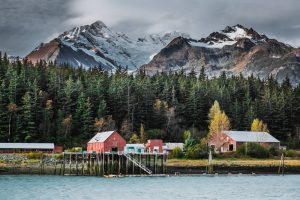 Top Alaska Cruise Tours in Summer 2018