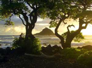 best island to visit in hawaii for first time