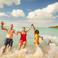 Best carvinal cruises 2018