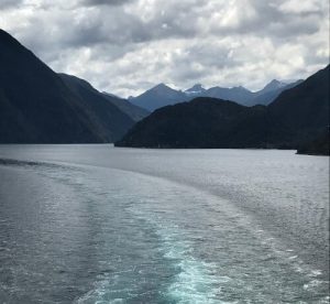 New Zealand Cruise