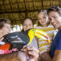 norwegian cruise deals