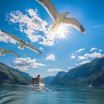 how to find the best cruise deals