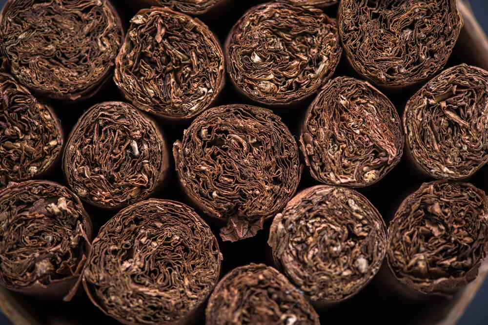 cruise ships that go to cuba