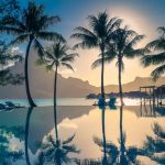 south pacific cruises