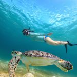 best snorkeling in caribbean