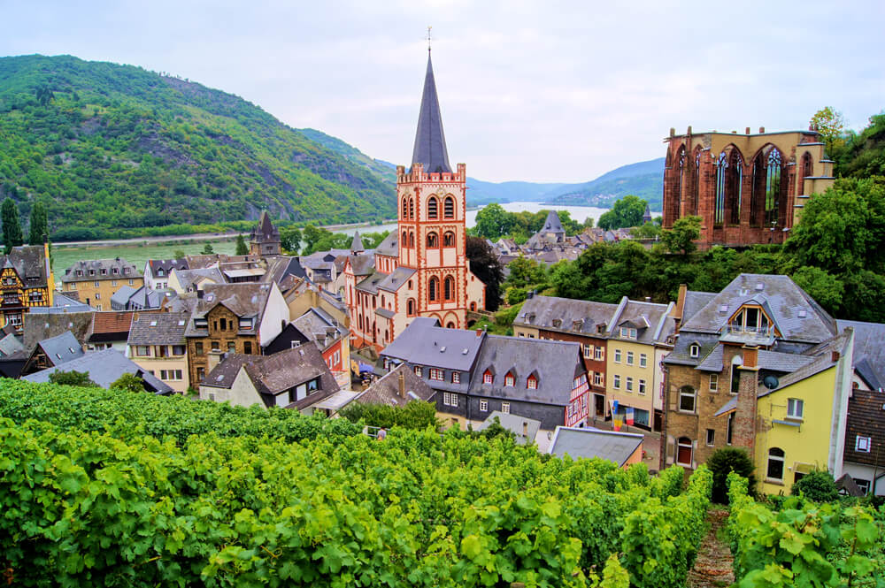 rhine river cruises 2019