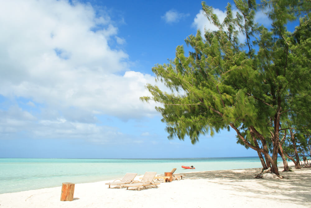 best south pacific cruises