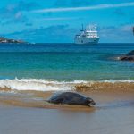 south america cruises